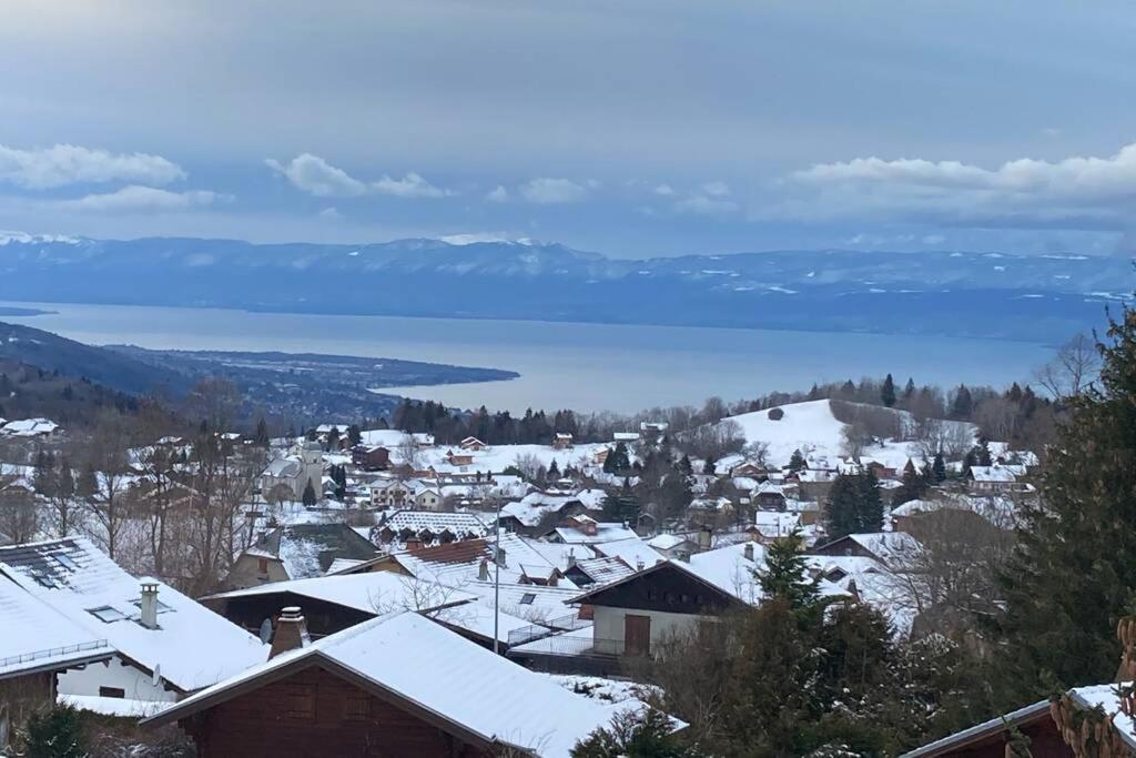 Duplex En Station Vue Sur Lac Leman Thollon-les-Memises Buitenkant foto