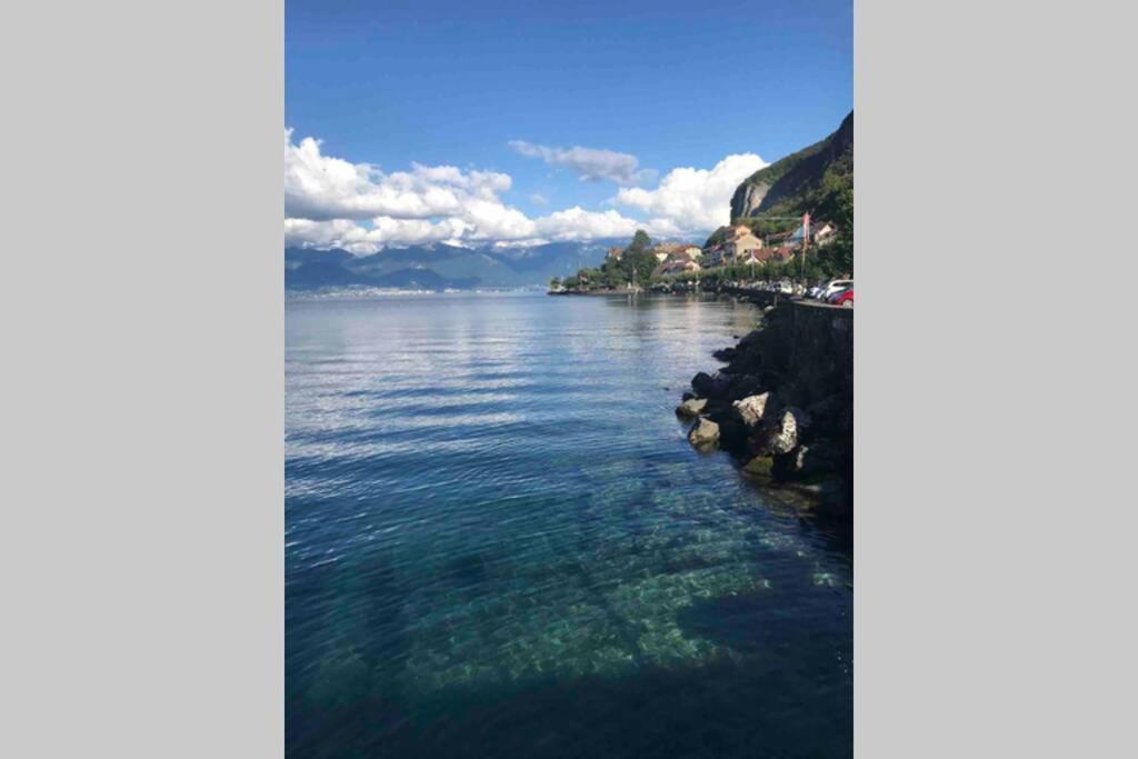 Duplex En Station Vue Sur Lac Leman Thollon-les-Memises Buitenkant foto