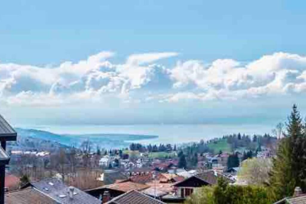 Duplex En Station Vue Sur Lac Leman Thollon-les-Memises Buitenkant foto