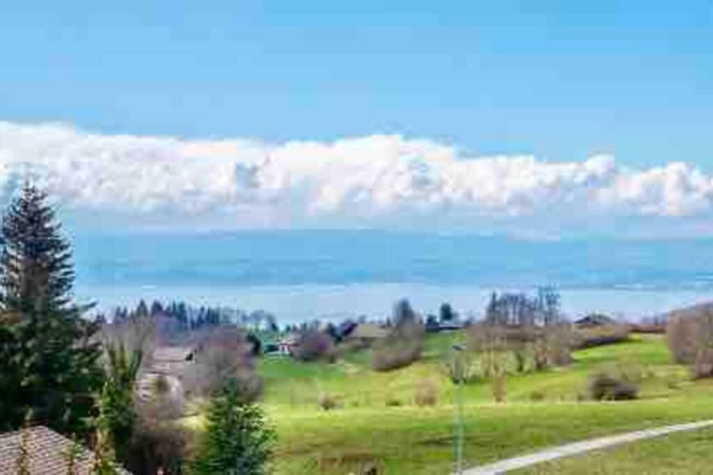 Duplex En Station Vue Sur Lac Leman Thollon-les-Memises Buitenkant foto