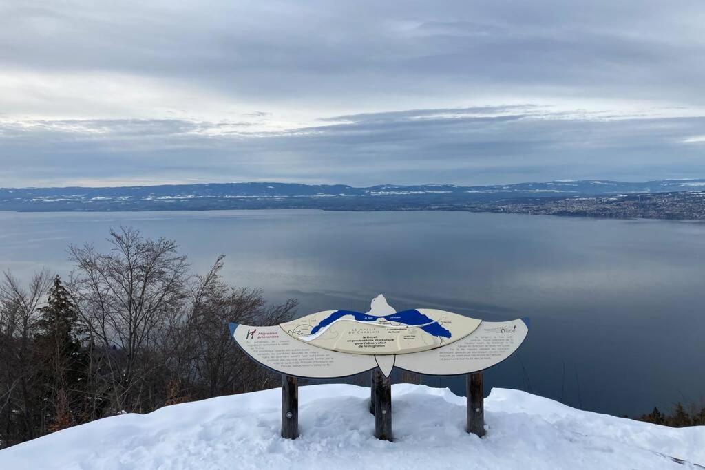 Duplex En Station Vue Sur Lac Leman Thollon-les-Memises Buitenkant foto