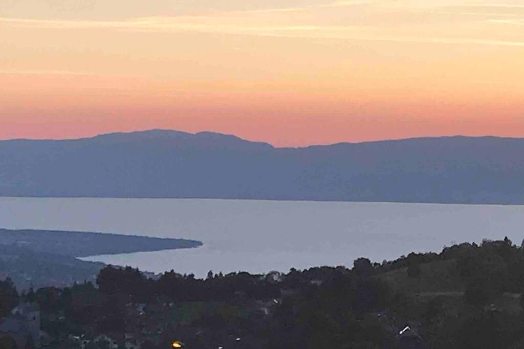 Duplex En Station Vue Sur Lac Leman Thollon-les-Memises Buitenkant foto
