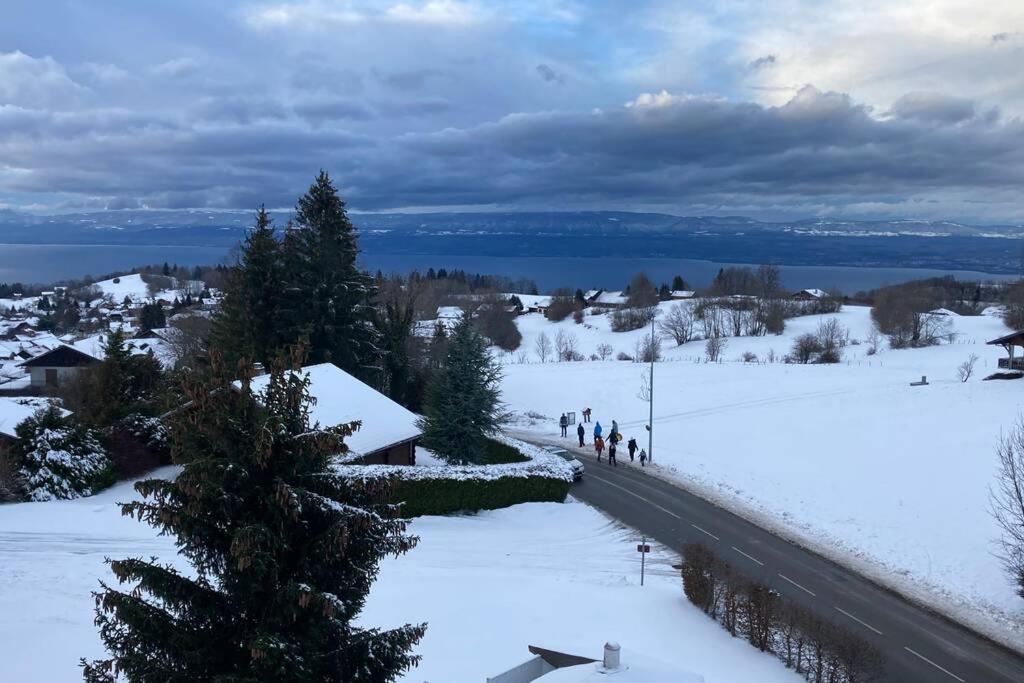Duplex En Station Vue Sur Lac Leman Thollon-les-Memises Buitenkant foto