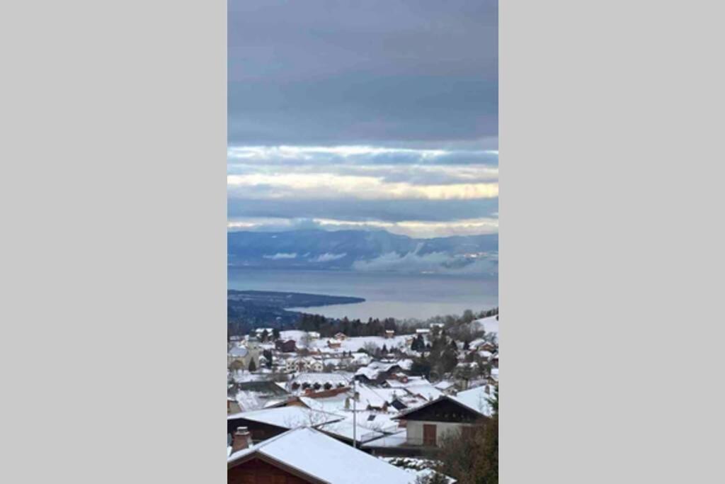Duplex En Station Vue Sur Lac Leman Thollon-les-Memises Buitenkant foto
