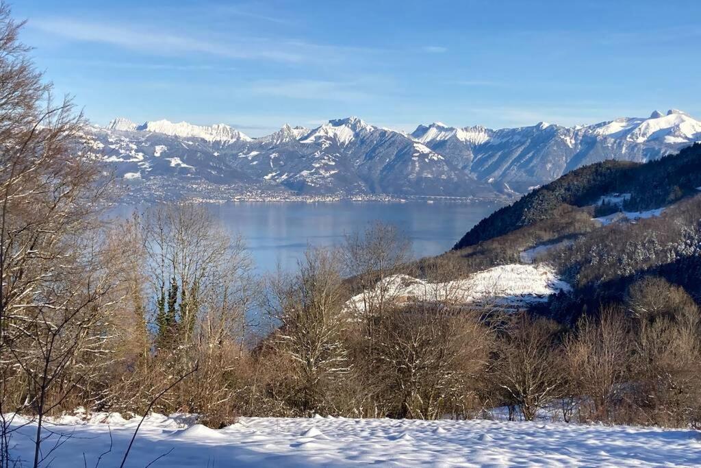Duplex En Station Vue Sur Lac Leman Thollon-les-Memises Buitenkant foto