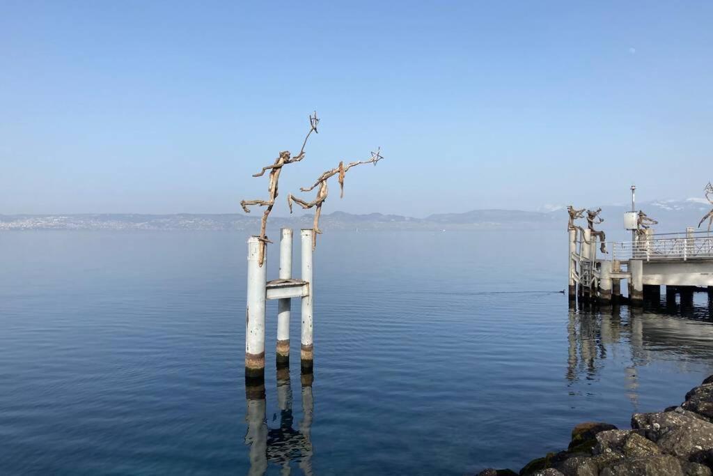 Duplex En Station Vue Sur Lac Leman Thollon-les-Memises Buitenkant foto
