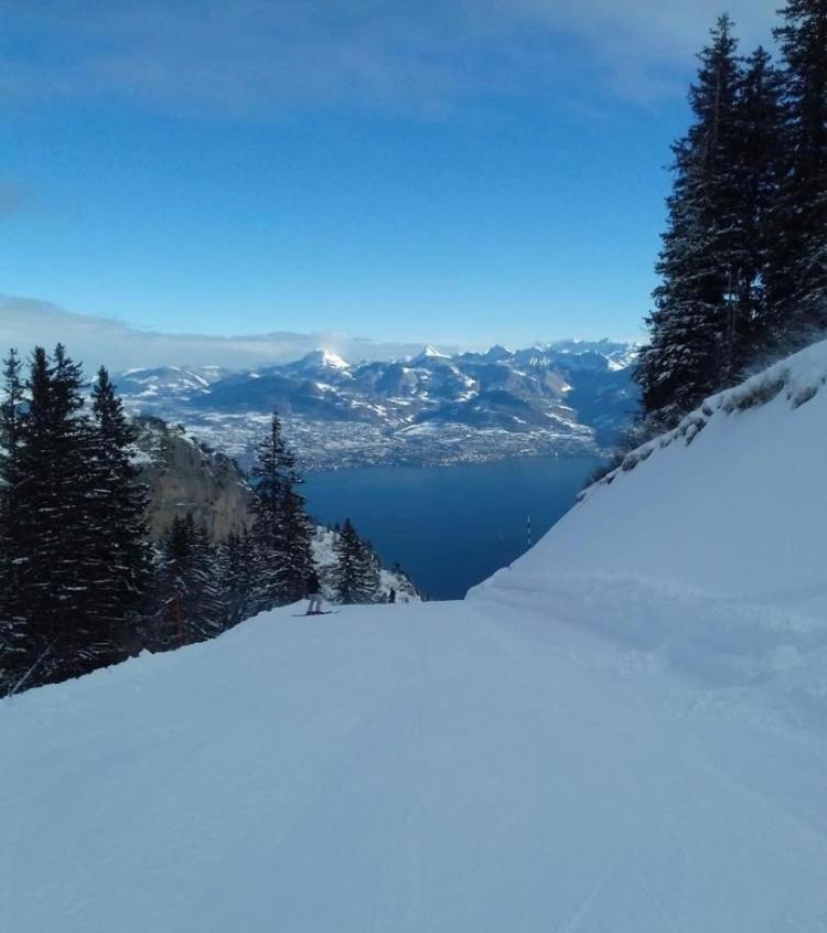 Duplex En Station Vue Sur Lac Leman Thollon-les-Memises Buitenkant foto